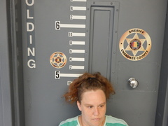 Mugshot of PANNELL, BECKY ELIZABETH DENISE